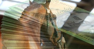 Stack of Australian Dollars Against Chestnut Racehorse