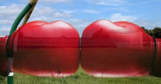 Boxing Gloves Against Horse Racing Hurdle