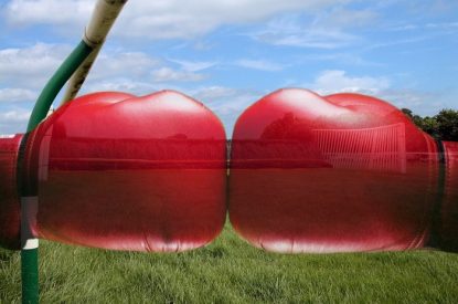Boxing Gloves Against Horse Racing Hurdle