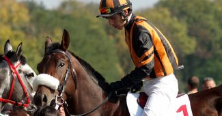 Jockey with Orange Silks on Horse Number 1
