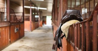 Leather Saddle on Stable Door