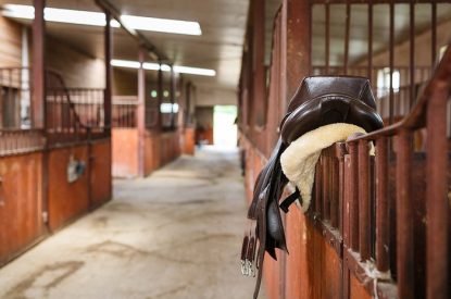 Leather Saddle on Stable Door