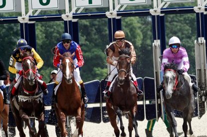 Line of Horses at Start of Race