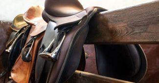 Three Saddles on Stable Fence