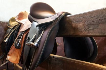 Three Saddles on Stable Fence