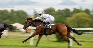 Horse Number 5 During Race