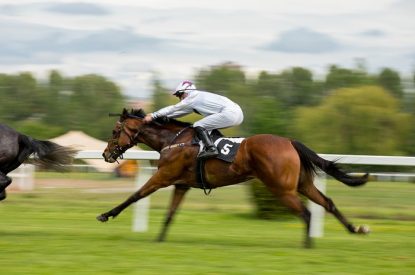 Horse Number 5 During Race