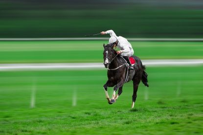 Isolated Horse with Jockey in White Silks