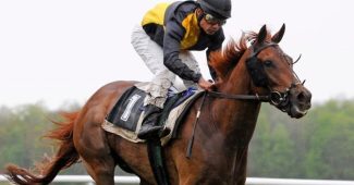 Jockey With Horse Number 1