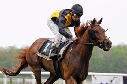 Jockey With Horse Number 1