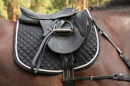 Leather Saddle on Bay Horse
