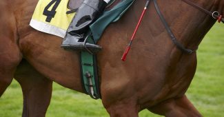 Racehorse Number Four with Jockey