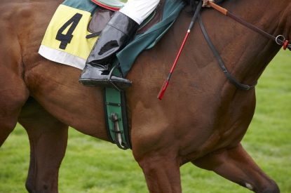 Racehorse Number Four with Jockey