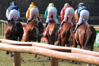 Horse Race from Behind Rails