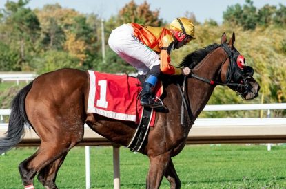 Horse with Red Number 1 Cloth