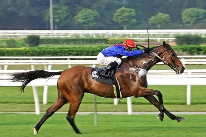 Jockey with Blue Silks on Isolated Horse