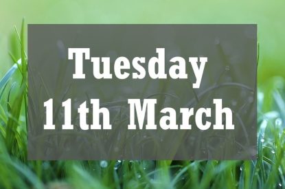 Tuesday 11th March Against Wet Grass Close Up