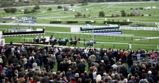 Cheltenham Race