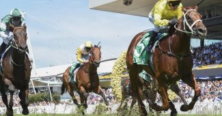 Jockey with Yellow Silks Leading Turf Horse Race