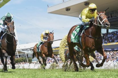 Jockey with Yellow Silks Leading Turf Horse Race