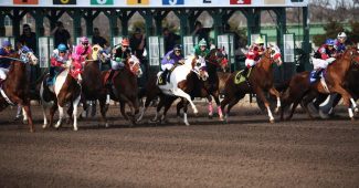 Dirt Horse Race with Numbered Start Gate