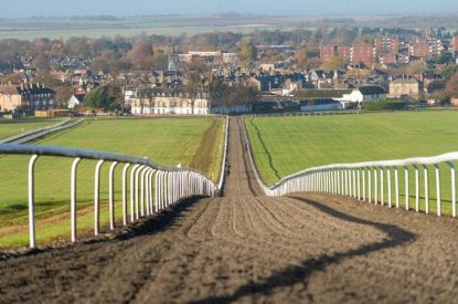 Warren Hill Newmarket Training Gallops