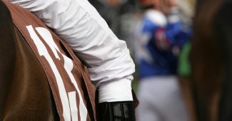 Close Up of Leg of Jockey on Horse Number 13