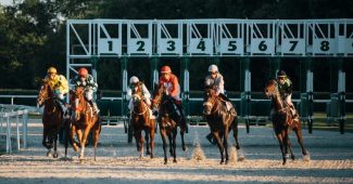 Horses Leaving Numbered Gate