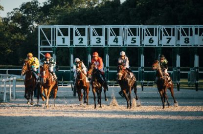 Horses Leaving Numbered Gate