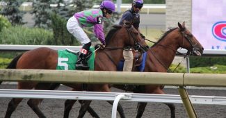Jockey On Horse Number 5