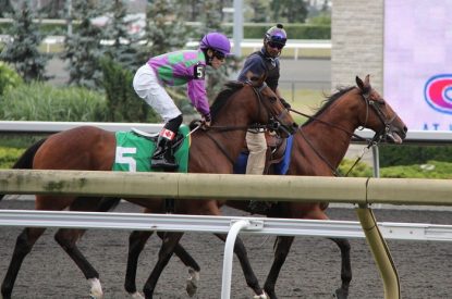 Jockey On Horse Number 5