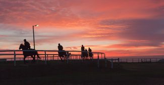 Jockeys Training at Dawn