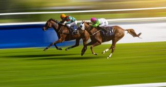 Two Horses Against Motion Blurred Track