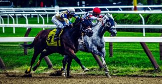 Two Horses Racing at Saratoga