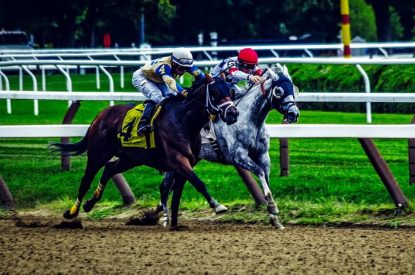 Two Horses Racing at Saratoga