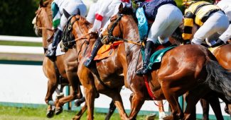 Group of Horses and Jockeys in Race