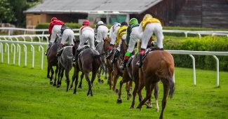 Line of Horses in Race