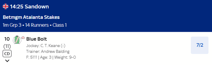 Atalanta Stakes Betting Odds 2025 - Blue Bolt