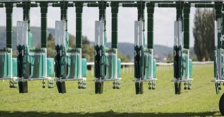 Empty Horse Race Start Gates Left Open