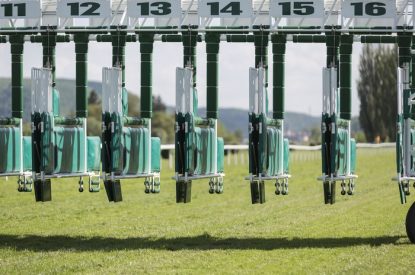 Empty Horse Race Start Gates Left Open