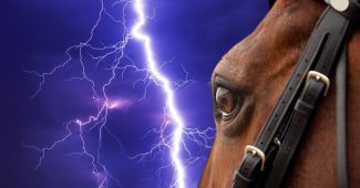 Eye of Dark Brown Horse Against Lightening Bolt