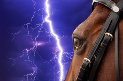 Eye of Dark Brown Horse Against Lightening Bolt