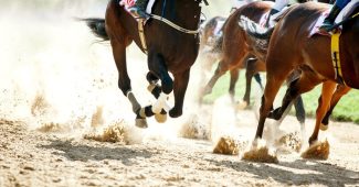 Hooves of Galloping Horses in All Weather Race