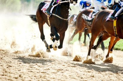 Hooves of Galloping Horses in All Weather Race
