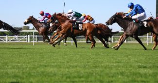 Horses running at Ascot racecourse