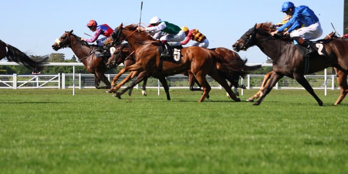 Horses running at Ascot racecourse