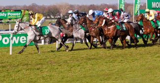 Sandown Park Racecourse