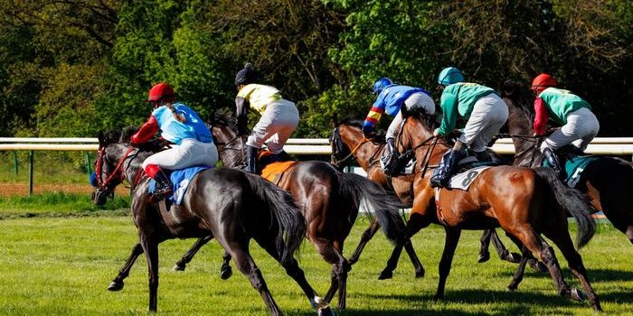 Group of Jockeys During Race