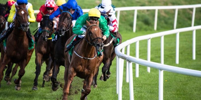 Horse Race Rounding Bend