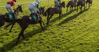 Horses Racing on Turf Toward Low Sun